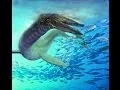 Download Lagu Monsters of the Deep