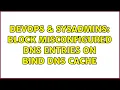 DevOps SysAdmins Block misconfigured DNS entries on BIND DNS Cache 2 Solutions