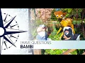 I Have Questions - Bambi