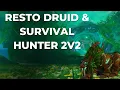 Resto Druid and Survival hunter 2v2 the best 2s comp