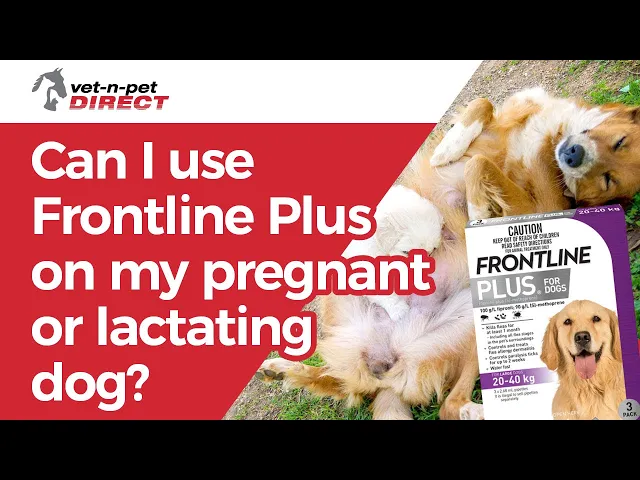 Frontline Plus for Large Dogs 20 to 40kg (44-88lb)