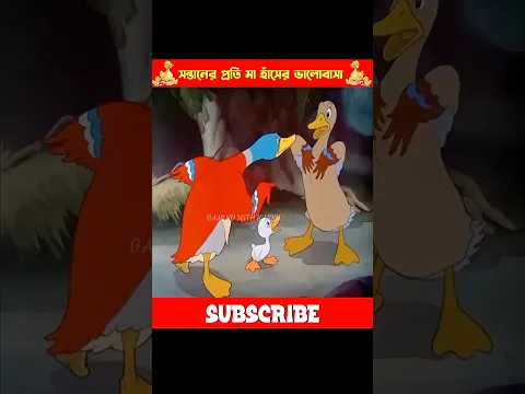 পাতি হাঁসের ঘরে রাজ হাঁসের জন্ম 😂+ মায়ের ভালোবাসা ❤️
