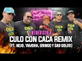 Download Lagu ÑEJO, GRINGO, JAMSHA Y SAD GOLDO VS EL MUNDO!!! Culo con Caca REMIX