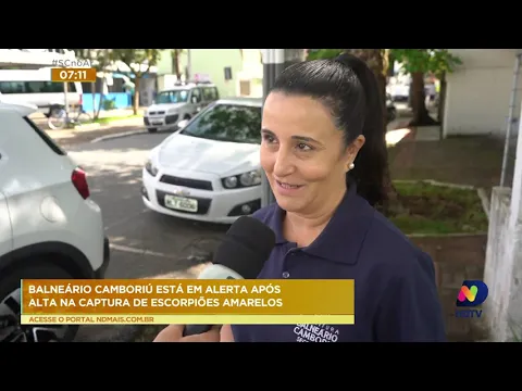 Aparecimento de escorpiões amarelos em Balneário Camboriú ascende alerta à comunidade