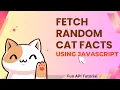 Fetch Random Cat Facts Using JavaScript Fun API Tutorial