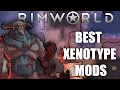 Best Mods You Need to Try in Rimworld