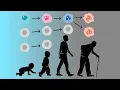The Cellular Reason We Get Frail In Our 70 s