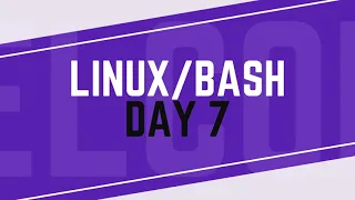 HackerRank Linux Bash Day 7 Text Processing Cut