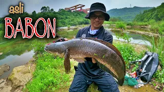 Download GODAAN TERBESAR BUAT PEMANCING KALAU SEPOT SEPERTI INI | mancing casting ikan gabus terbaru ditaiwan MP3