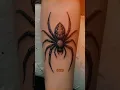 Spider Tattoo Meaning
