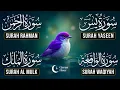 Very Nice Voice Surah Yaseen | Surah Rahman | Surah Waqiah | Surah Mulk l Reciter Ashraf Hussain 049