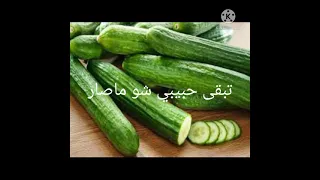 كيلو بصل وكيلو خس تبقى حبيبي انت وبس 