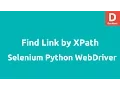 Python Selenium find Link by XPath