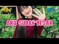 Download Lagu AKU SUDAH BESAR IBUKU REMIX_•Papa Adung•_2024‼️