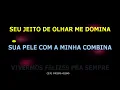 Amado Batista   Mais e mais nos amamos- KARAOKÊ