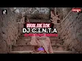 Lagu DJ C.I.N.T.A - D'BAGINDAS | DJ PND REMIX BOOTLEG