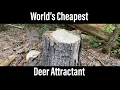 The World s Cheapest Deer Attractant Cheapest Food Plot