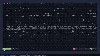 buffer overflow 0 - Binary exploitation PicoCTF