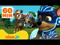PAW Patrol Mighty Pups Ultimate Animal Rescues w Chase Liberty 1 Hour Compilation Nick Jr