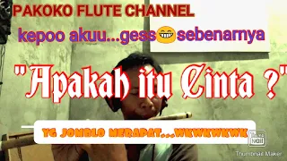 apakah itu cinta cover suling by pakoko