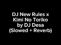 Download Lagu DJ New Rules x Kimi No Toriko DJ Desa (Slowed + Reverb)