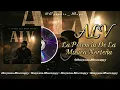 La Potencia De La Música Norteña - ALV 