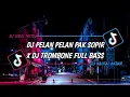 Download Lagu DJ PELAN - PELAN PAK SOPIR X DJ TROMBONE VIRAL TIKTOK FULL BASS SOUND NAUFAL AKBAR DJ VIRAL 2023
