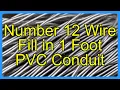 Number 12 Wire Fill in 1 Foot PVC Conduit