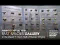Download Lagu Narrated Virtual Tour: David H. Koch Hall of Human Origins – Past Species