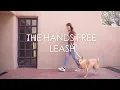 Hands Free Dog Leash Demonstration - How to Use