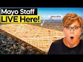 Moving to Rochester for Mayo Clinic Here s Where Employees Really Live