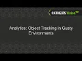 CATHEXISVision Analytics Object Tracking in Gusty Environments