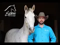 Equine Affaire Educational Program - Dan James on Liberty Training