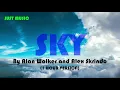 Lagu Alan Walker \u0026 Alex Skrindo - Sky (1 Hour Version)