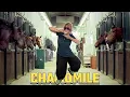 Download Lagu Chamomile - Gangnam Style Parody Song for us Older Ones!