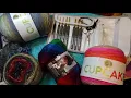 JoAnn Yarn Haul Quick Review of Tulip Etimo Crochet Hooks