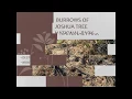 How To Identify Animal Burrows