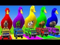 Download Lagu Long Slide Game With Cow Elephant Gorilla Hippopotamus Tiger 3d Animal Game Funny 3d Animals