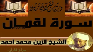 الشيخ الزين محمد احمد سورة لقمان 