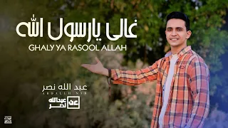 عبدالله نصر غالي يارسول الله Ghaly Yarsool Allah AbdallhNsr تك توك النبي اكسبلور المولدالنبوي 