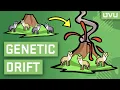 Genetic Drift Explained in Under 2 Minutes