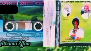 SIRBA AADAA JIMMAA ORJINAALA BAANDII SHANAN GIBEE 