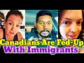 Download Lagu Why Canadians Are Turning Against Immigrants.