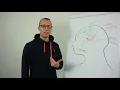 How Visualization Works Neuroscience