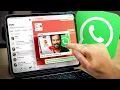 Oficial WhatsApp Para iPad Todo Lo Que Tienes Que Saber