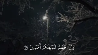  قال هذا صراط علي مستقيم  بصوت تلميذ القارئ احمد نفيس دندنها