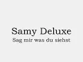 Samy Deluxe-Sag mir was du siehst
