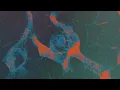 Le Youth, Sultan + Shepard feat. Emily Falvey - Pattern (Extended Mix) [This Never Happened]