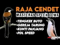 Download Lagu Serem !! MASTERAN CENDET Gereja,tengkek buto,kunti full tembakan mewah‼️