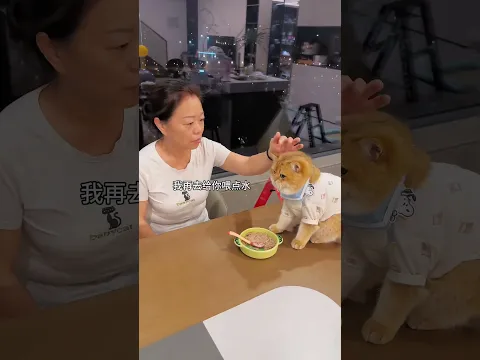 Cat tries medicine !